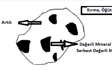 Serbestleşme Nedir? Neden Önemlidir?